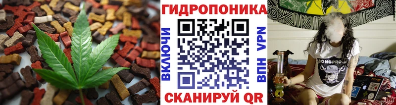 закладка  Отрадный  Еда ТГК марихуана 