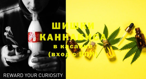 спиды Елизово
