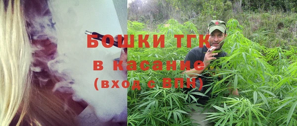 2c-b Горняк