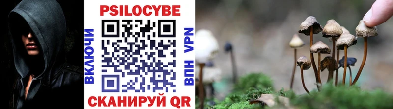 Псилоцибиновые грибы Cubensis  что такое наркотик  Отрадный 
